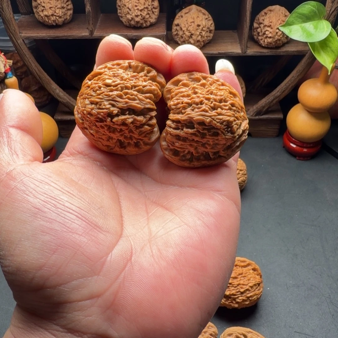 把件文玩核桃南疆石团子凹底蚂蚁拉丝尺寸43