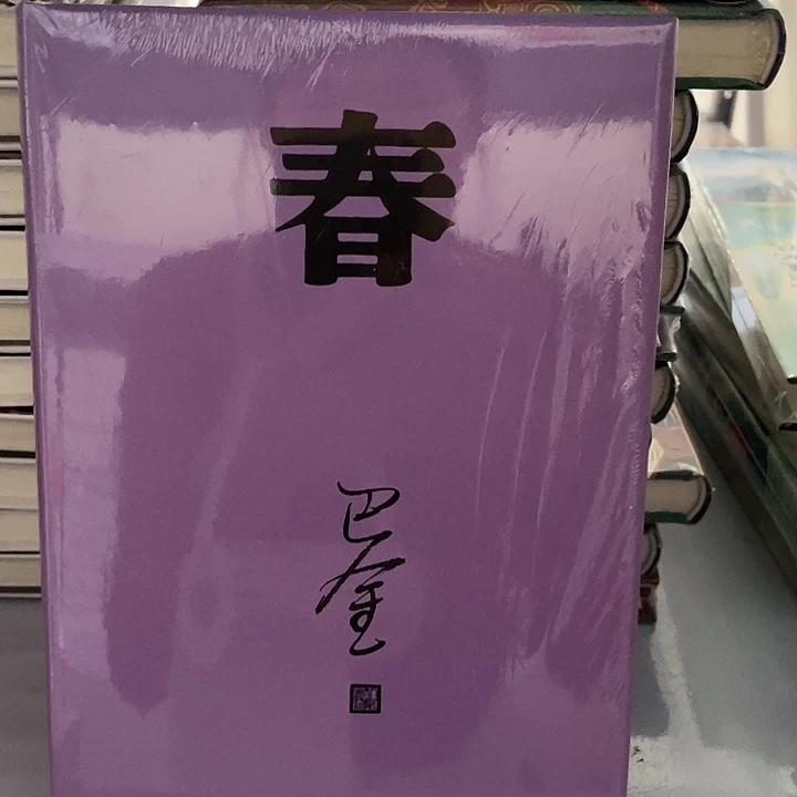 春    精装带塑封