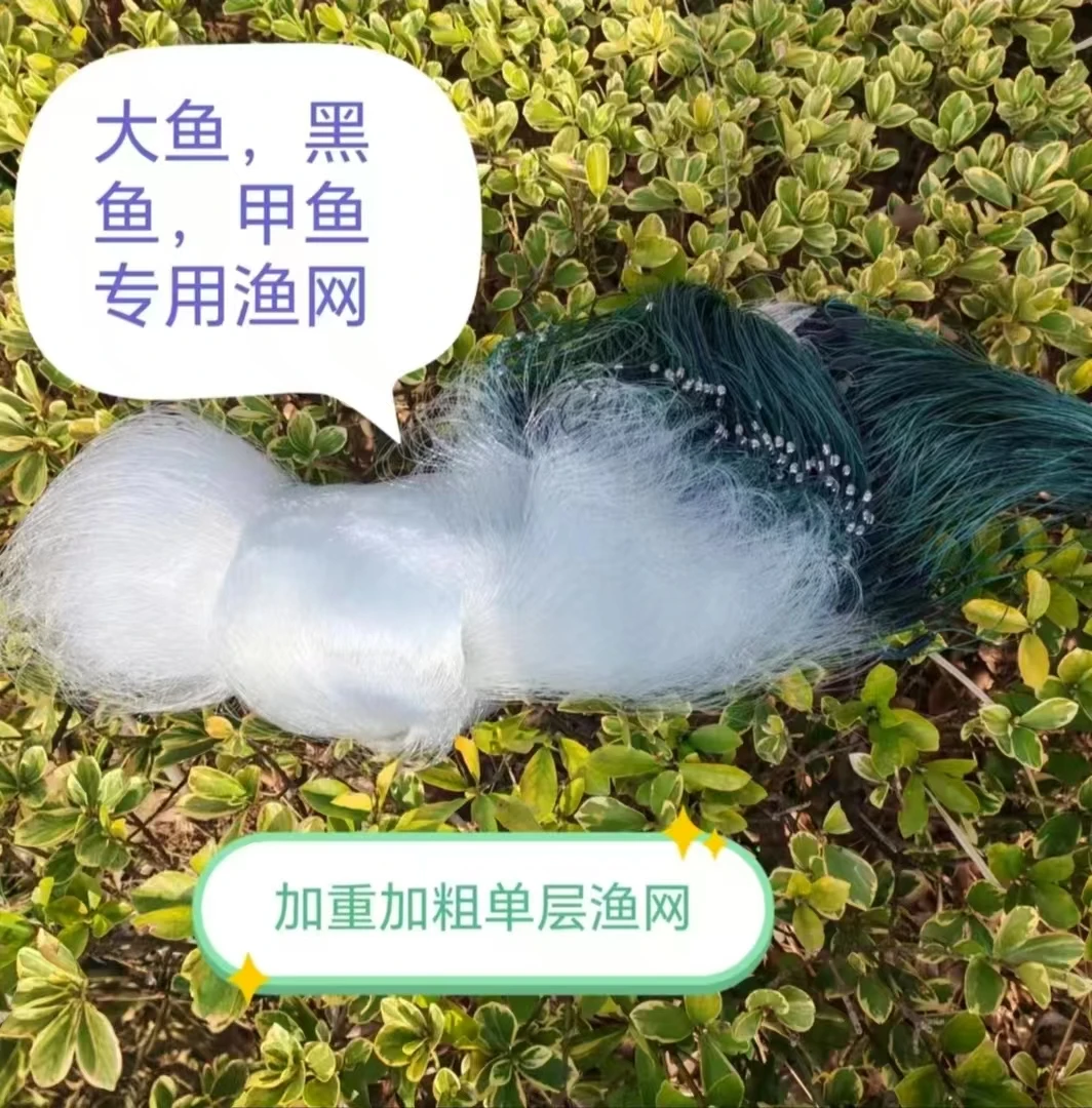 单层渔网加粗丝加强丝0.25丝挂网户外捕鱼丝网甲鱼网黑鱼网