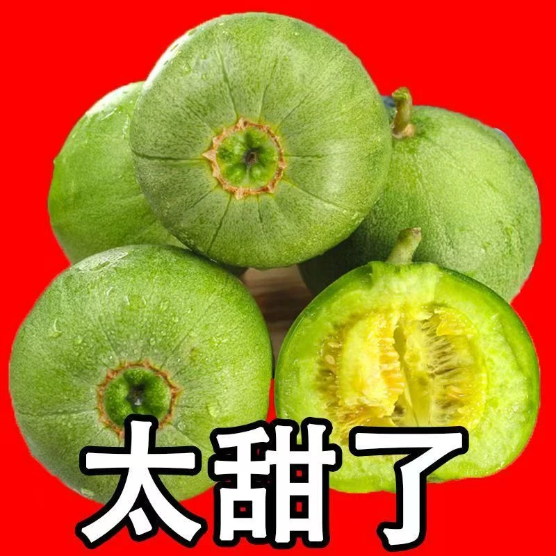 正宗禄宝石脆甜香瓜水果新鲜包邮当季水果产地直发当季新鲜水果