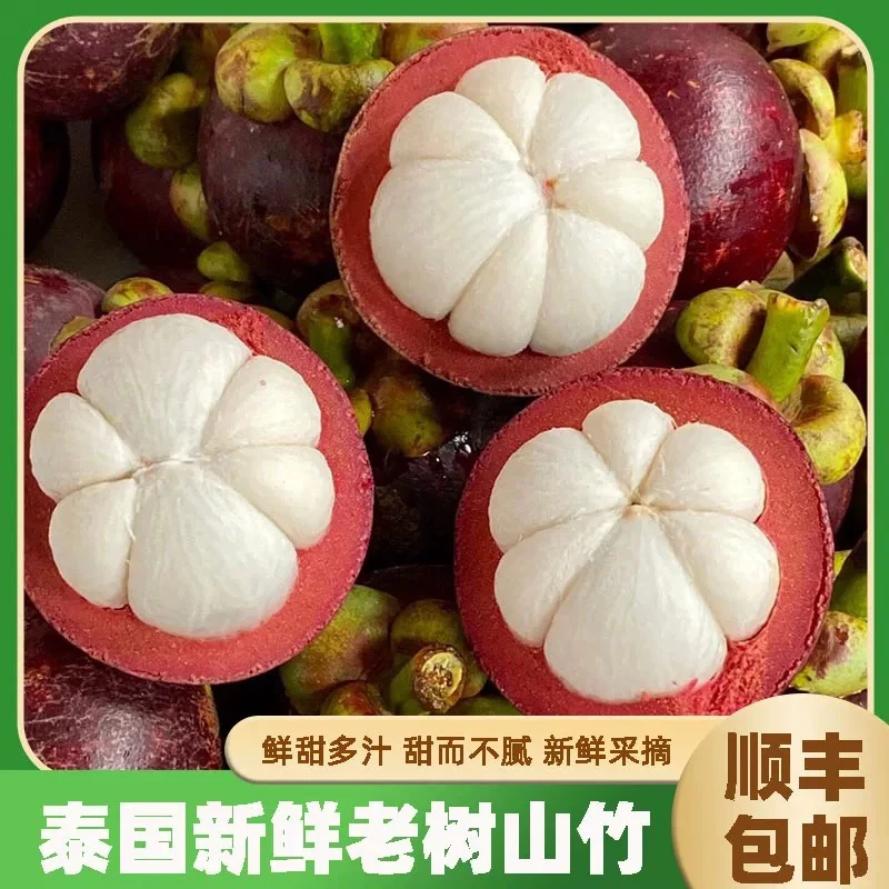 《小军严选》山竹 5A泰国山竹空运直达 顺丰包邮