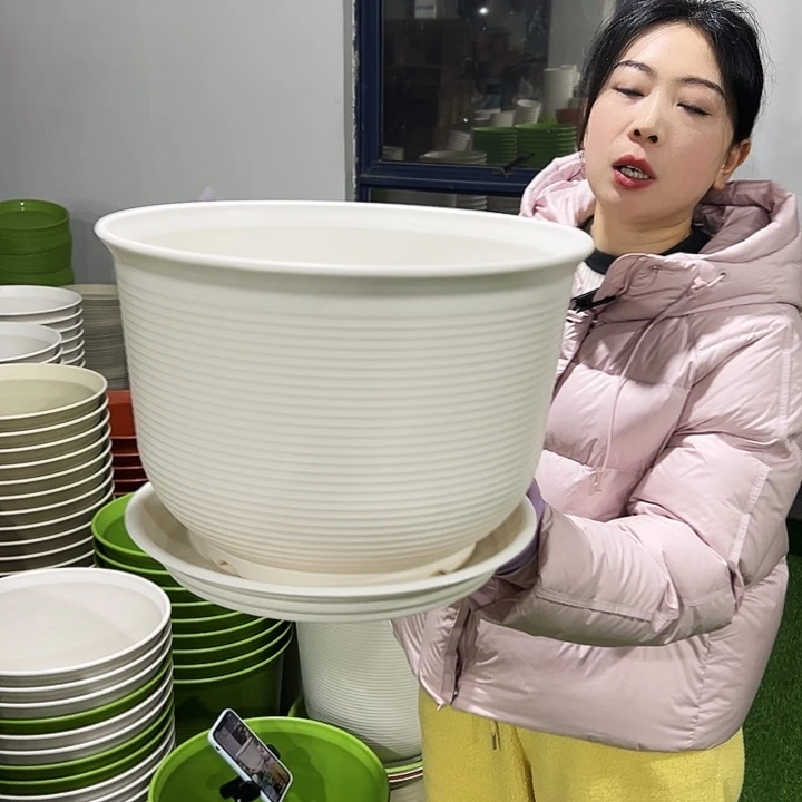 正品矮陶口36高25白色3只带托