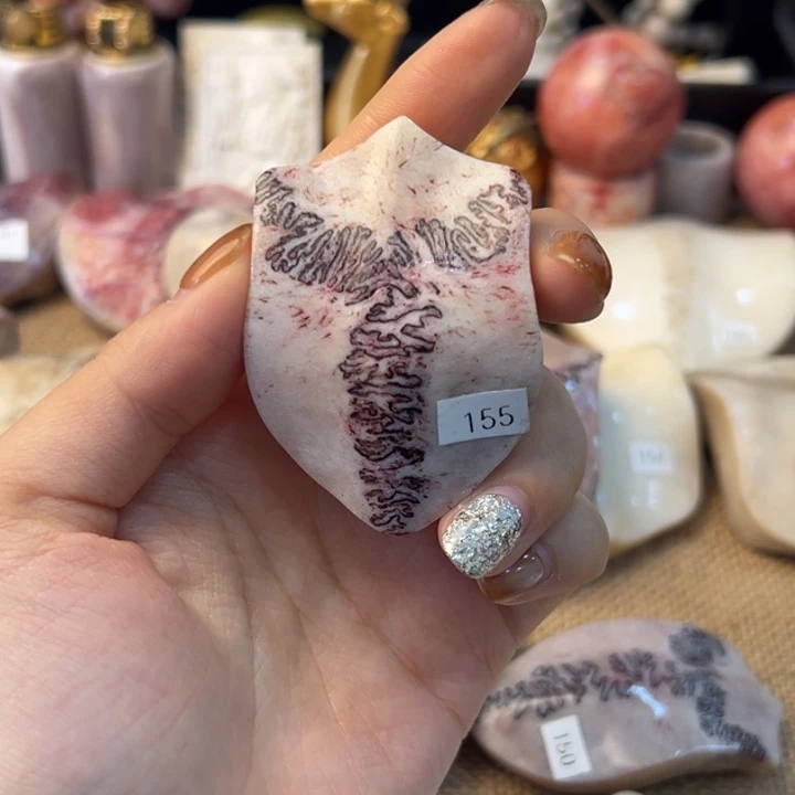 养殖梅花鹿三界牌