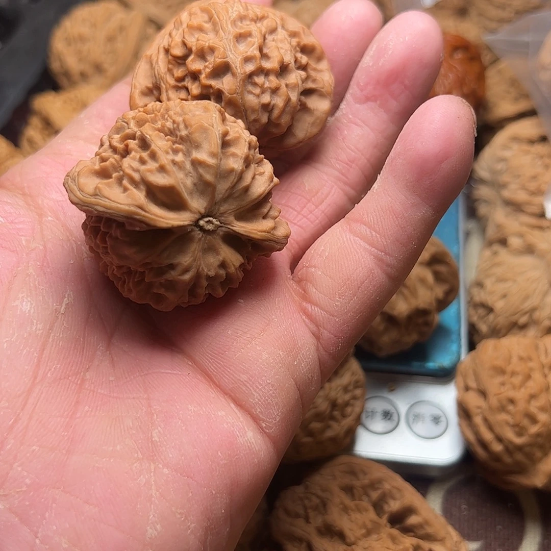 林***新文玩核桃老树宫灯