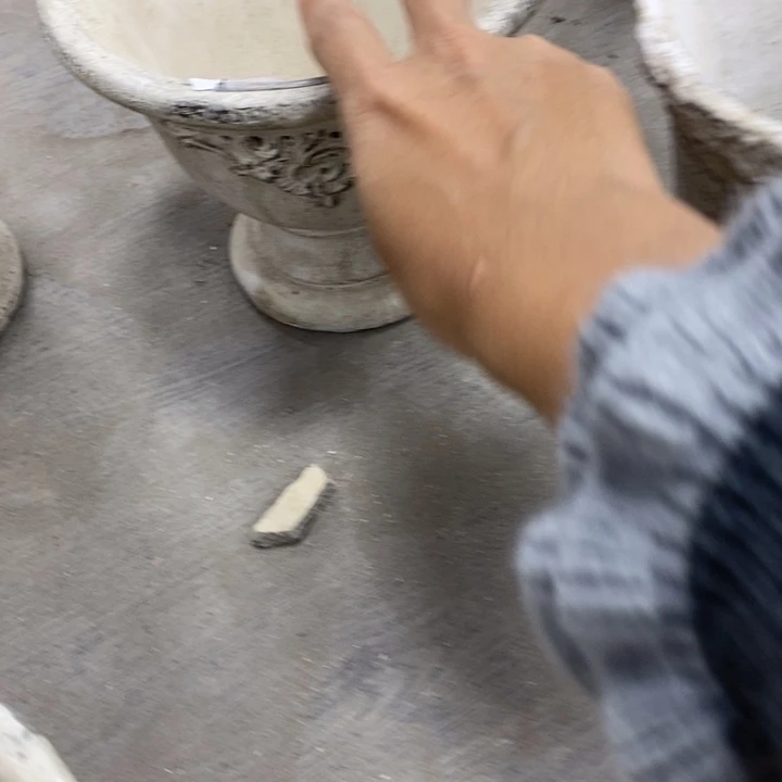 花盆6191919191919199