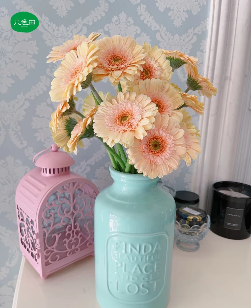 奶油饼干20枝----非洲菊云南直发鲜花云南花插花鲜花