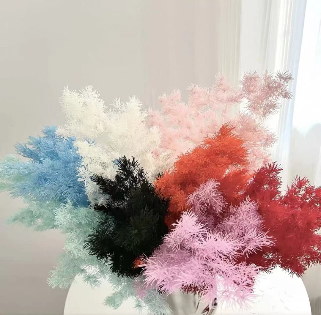 【老师专属】1号 永生花蓬莱松 花店专用工厂批发