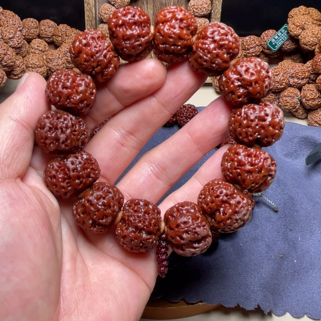 泷***哥金刚菩提手串古龙雪山梅花双龙24尺