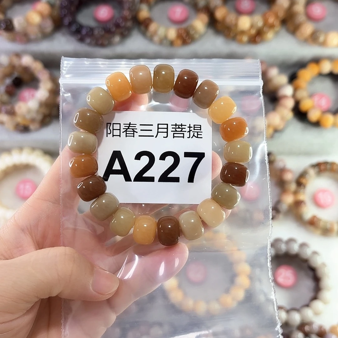 卫***气菩提根/象牙果手串