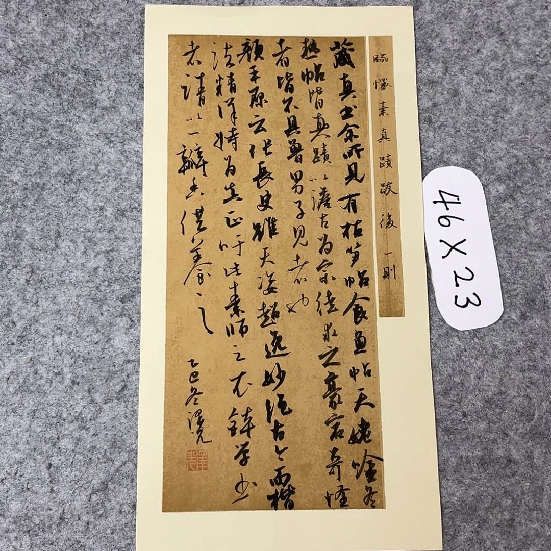 书法国展书家廖老师46+23