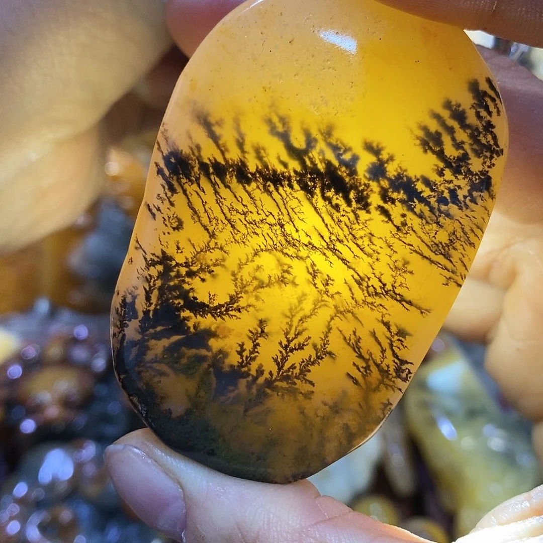 石英质玉（黄龙玉）颈饰未镶嵌