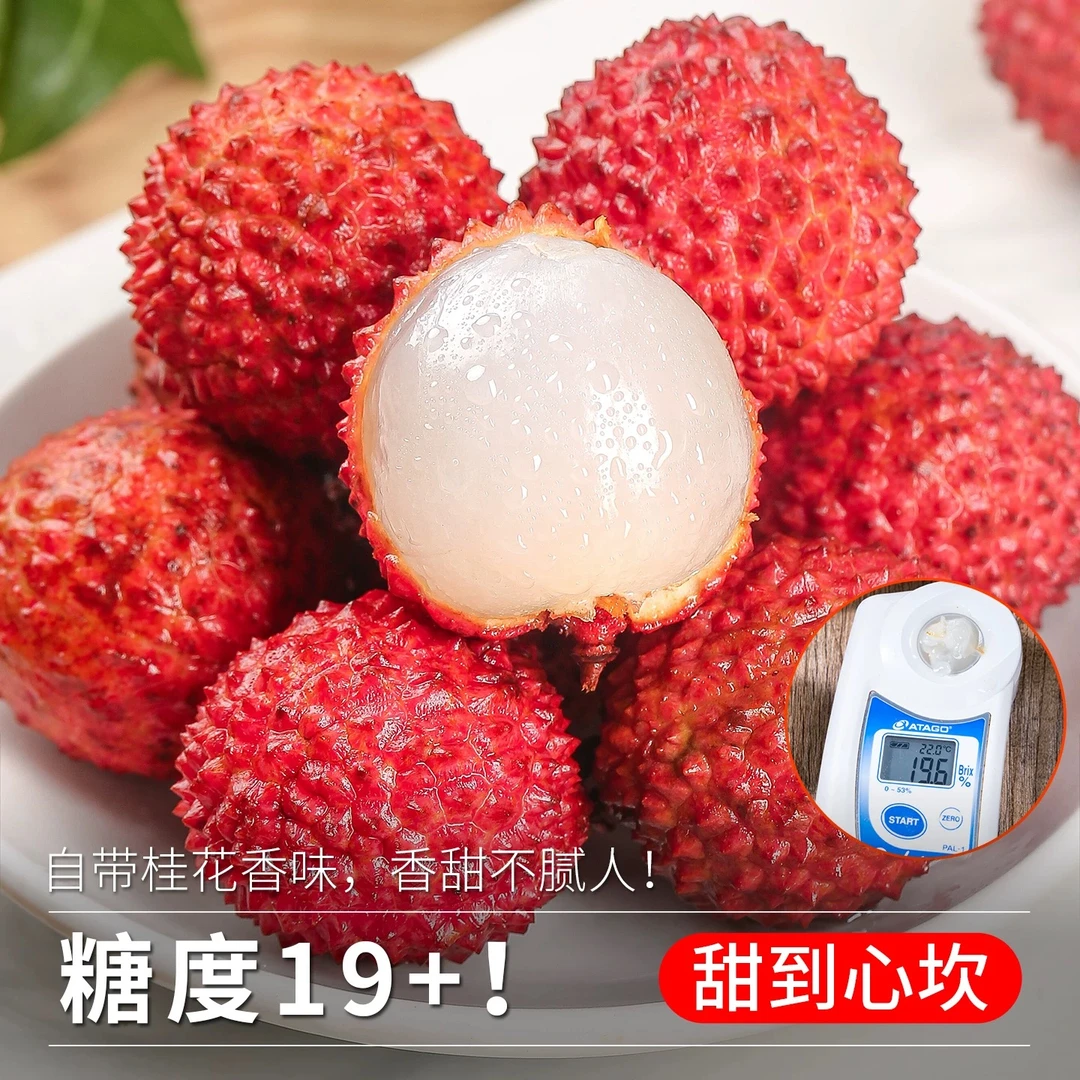 广东茂名高州新鲜桂味荔枝老树现摘现发精选大果5斤礼盒顺丰包邮冷链专机运送次日达荔枝同城送广东省