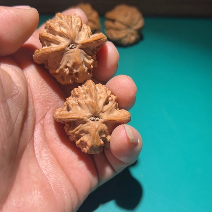 别***ᝰ文玩核桃把件图图