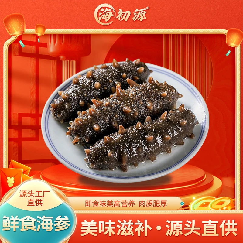 【学好铁宝专属】海初源鲜食款即食海参到手两斤约20-24只 A