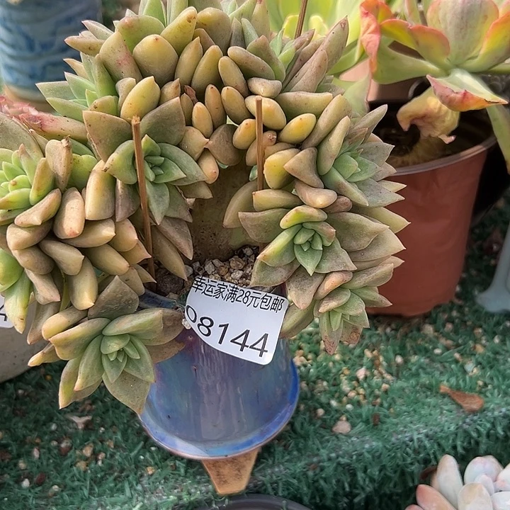 幸运的是我还没遇到过