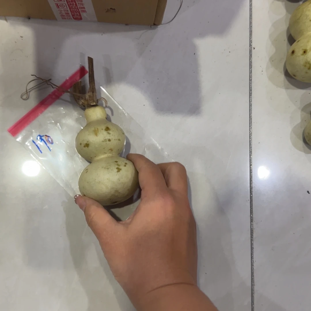 韩***长青皮不包成的．是有没有用呢还是有点