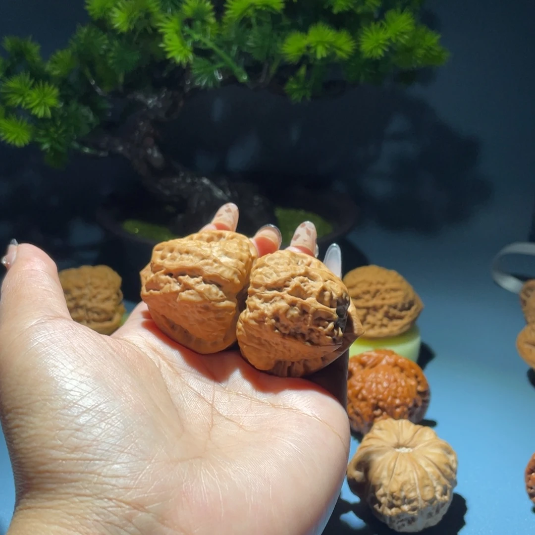 文玩核桃三角蛙蛙