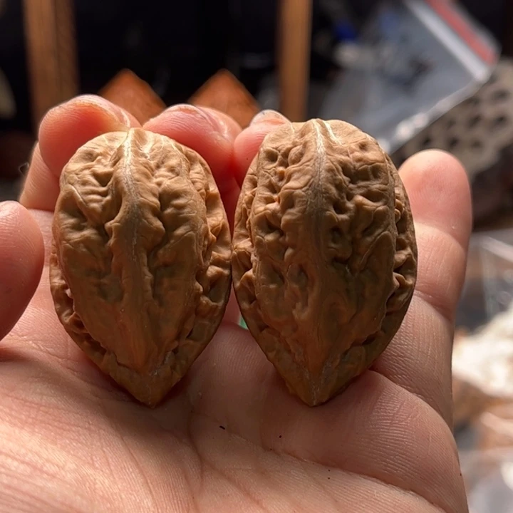 文玩核桃把件楸大胖29