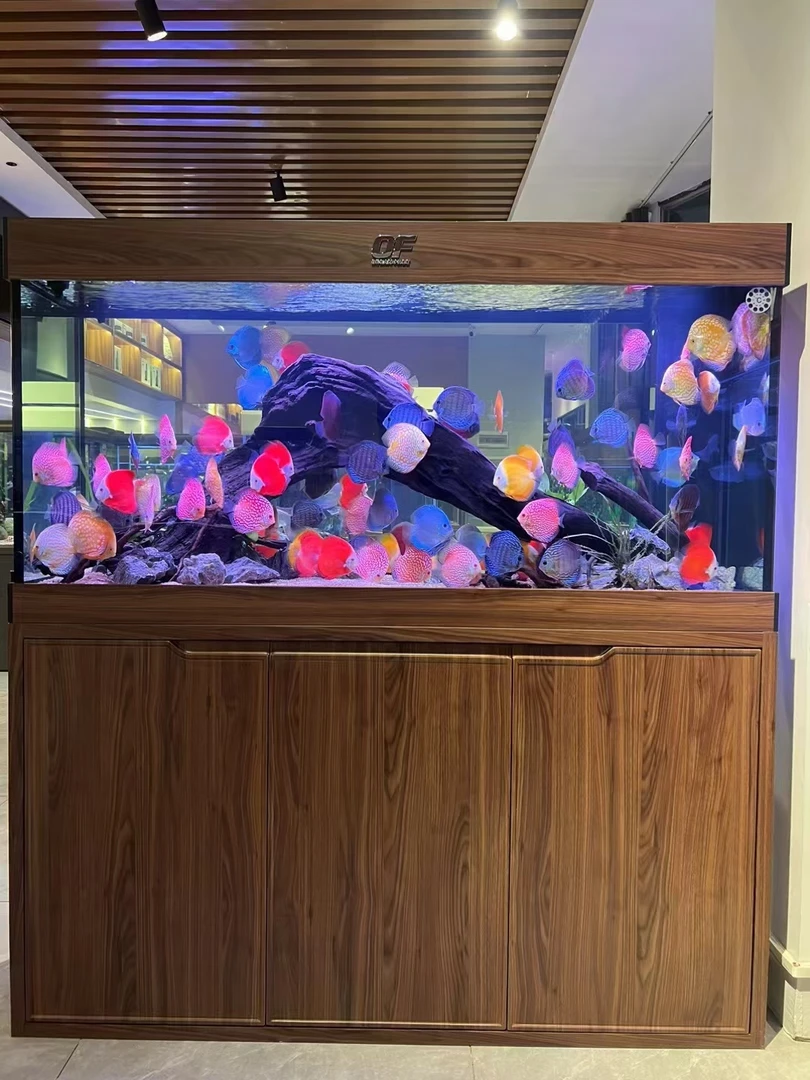 OF OCEAN FREE仟湖心悦缤纷家居缸客厅大型落地缸实木带底柜龙鱼