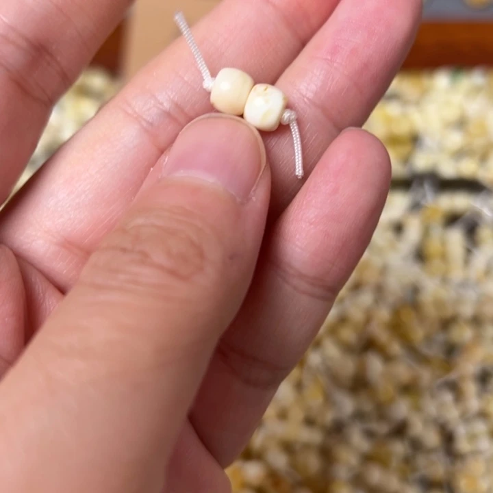 蜜蜡未镶嵌裸石6.1mm一对