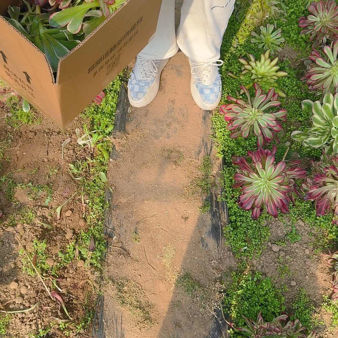 铃*哦哦哦哦哦哦哦