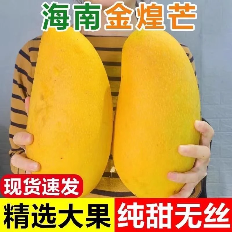 DM海南三亚金煌芒5-10斤水仙芒到货即食皮薄肉厚坏果包赔