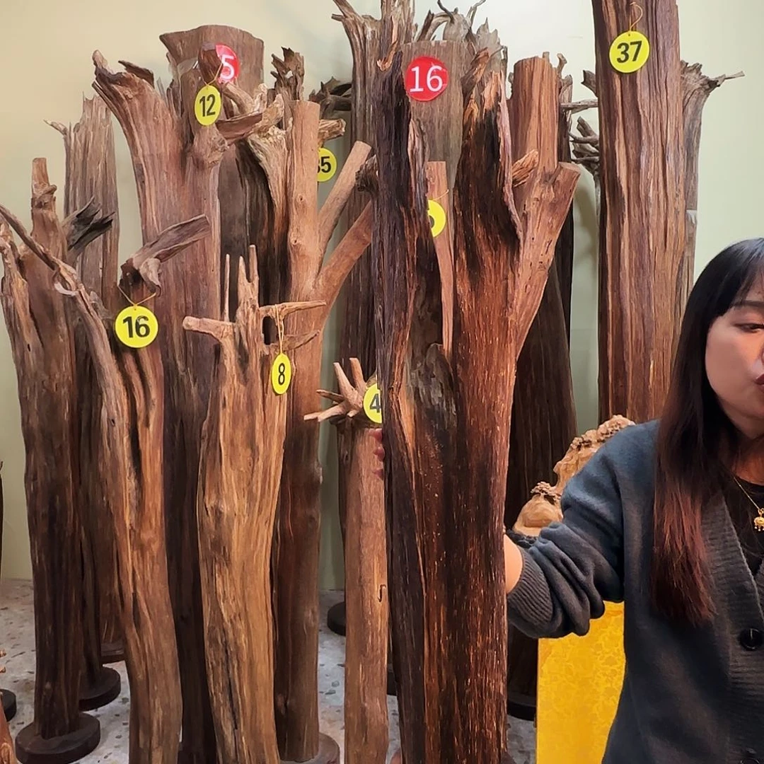 沉香沉香碎屑天然沉香原材料香料熏料