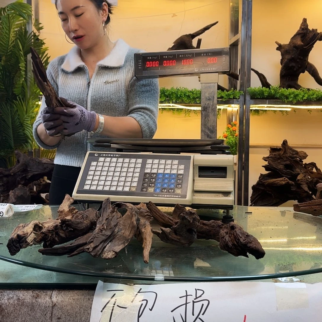 柚木生**息沉木鱼缸造景