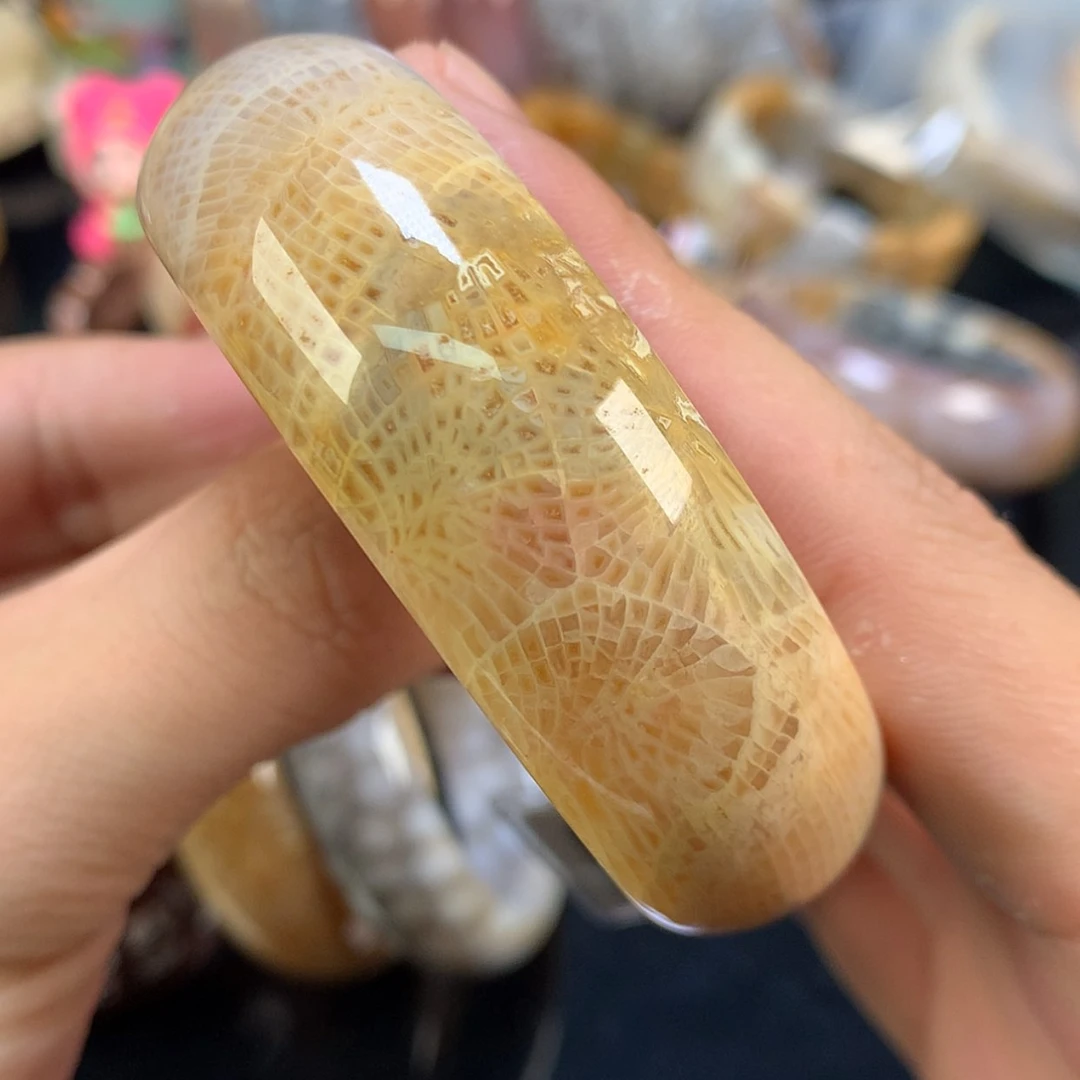 【闪购商品】颈饰未镶嵌硅化珊瑚（珊瑚玉）78号53.5圈龙骨