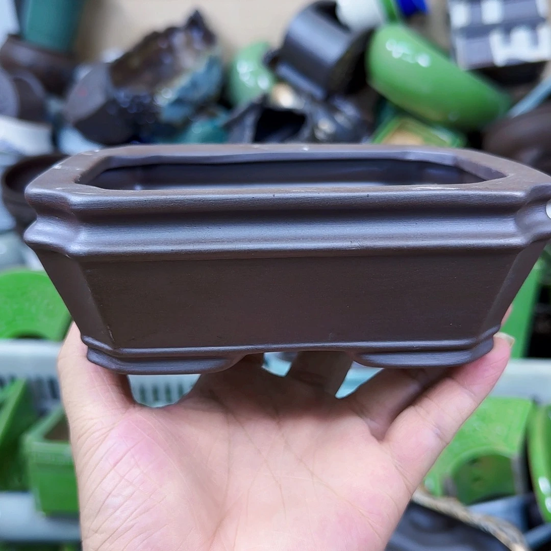 陶瓷花盆特价上新