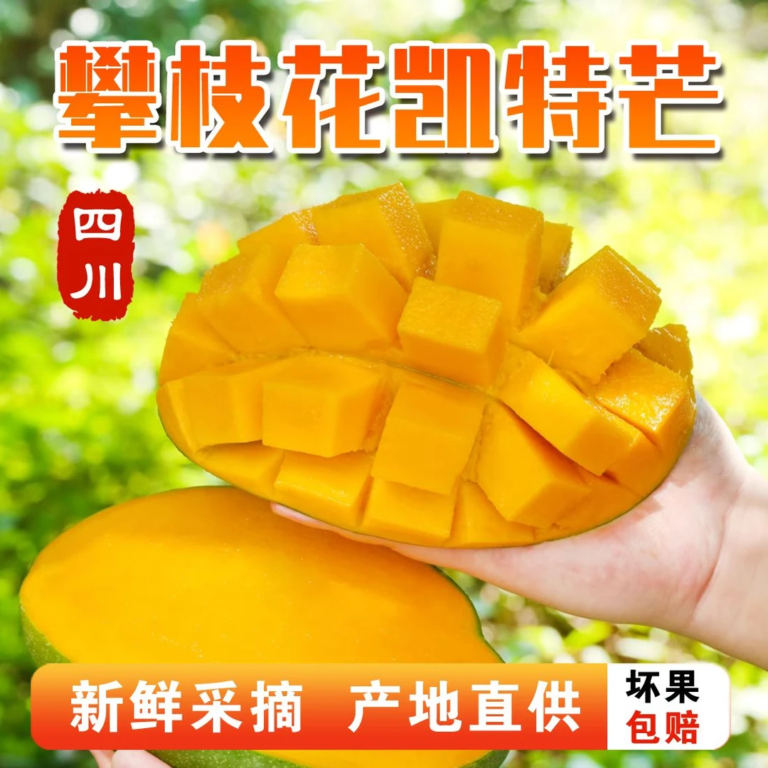 【现摘优质】攀枝花凯特芒新鲜现摘应季水果香甜饱满多汁（包邮）