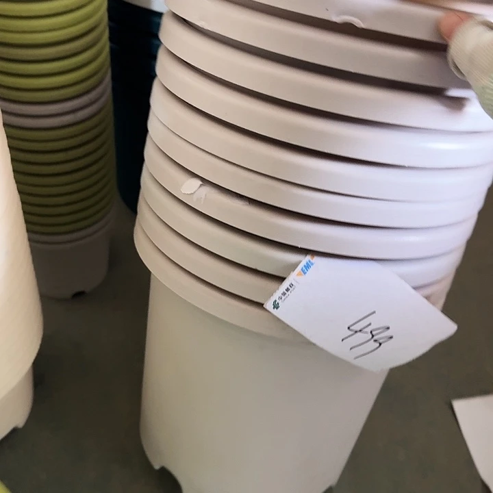 瑕疵5#口径29灰白5个无托缺口