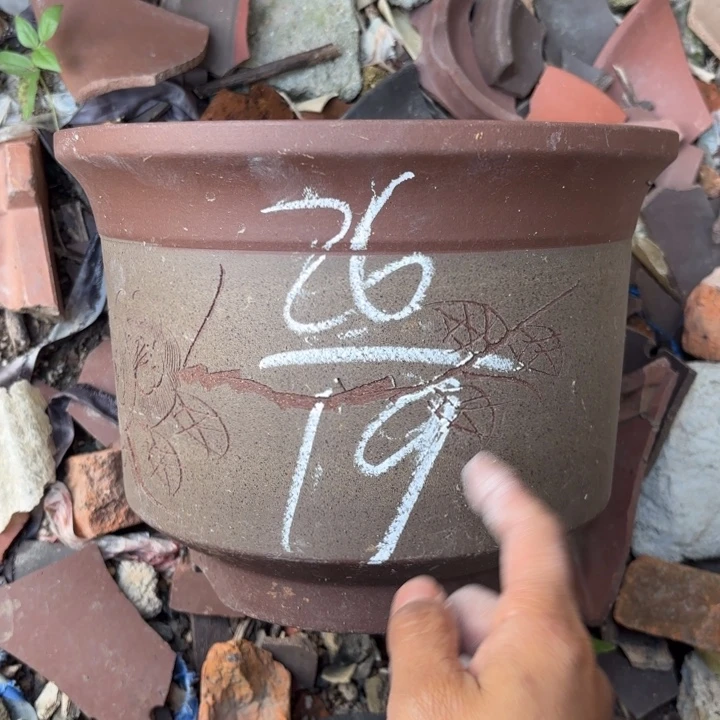 花盆紫砂紫砂的花