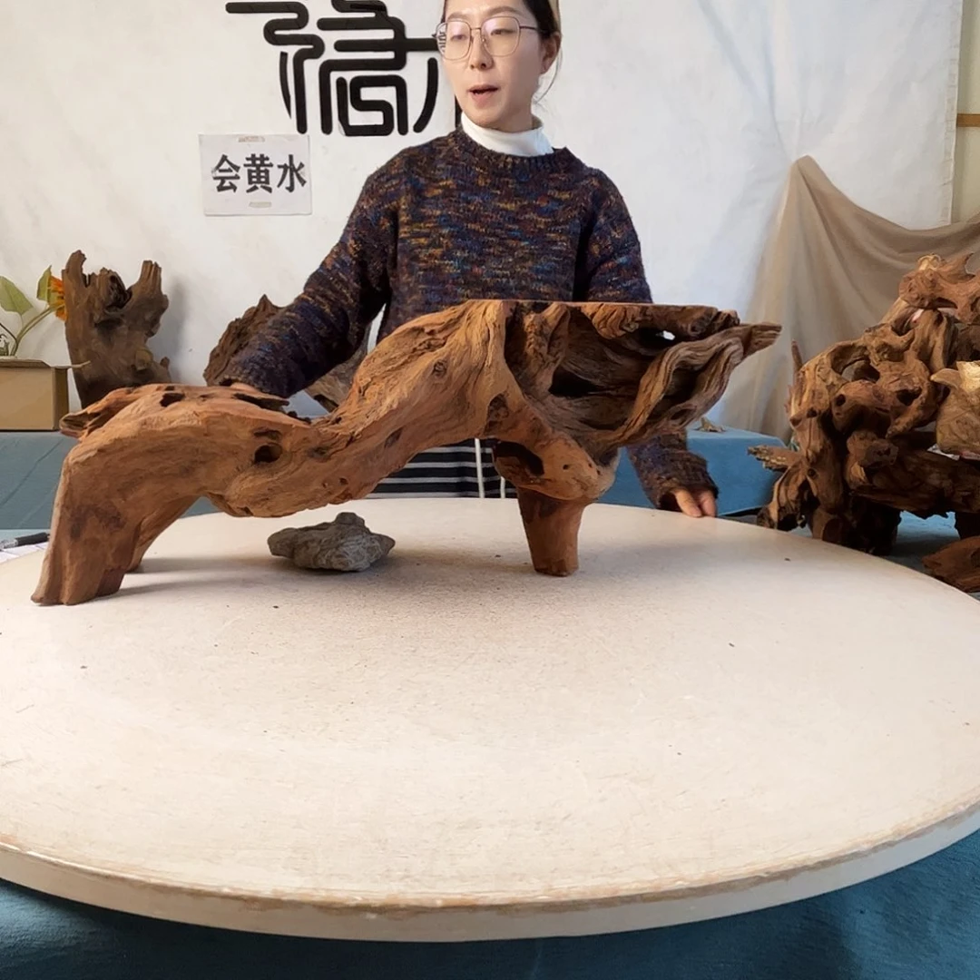 沉木造景爬宠造景