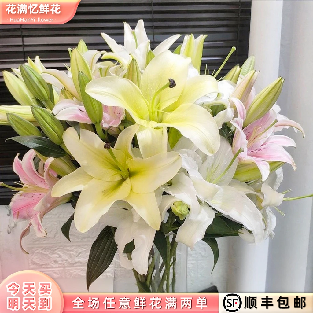 次日达 -【五彩香水百合】混色百合 6-8头鲜花鲜切花家居批发任意两单顺丰包邮三单送随机花瓶今天拍明天到aa