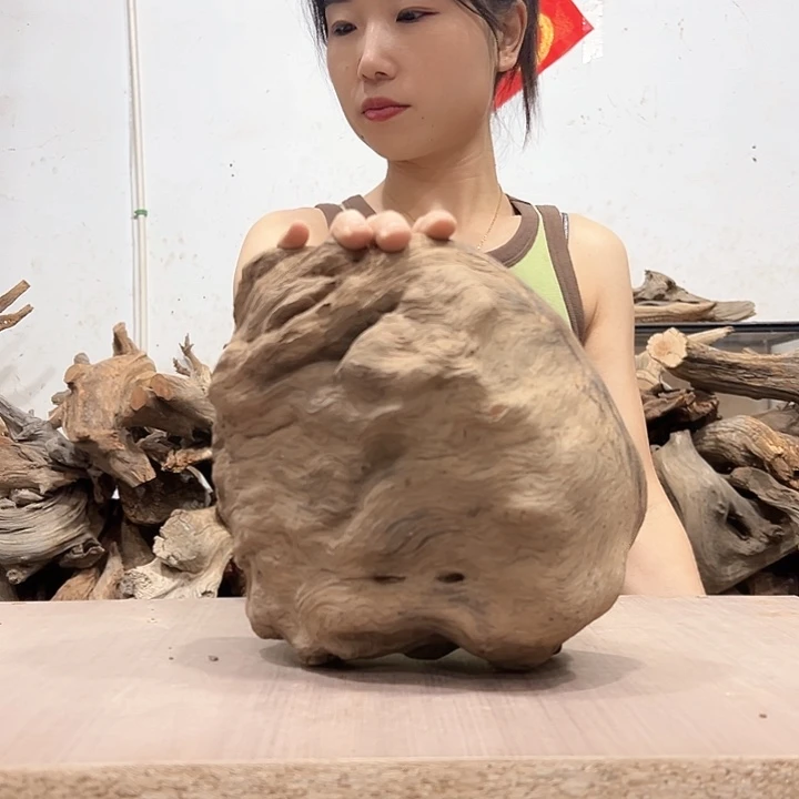 柏木逾**逶我们的生活也