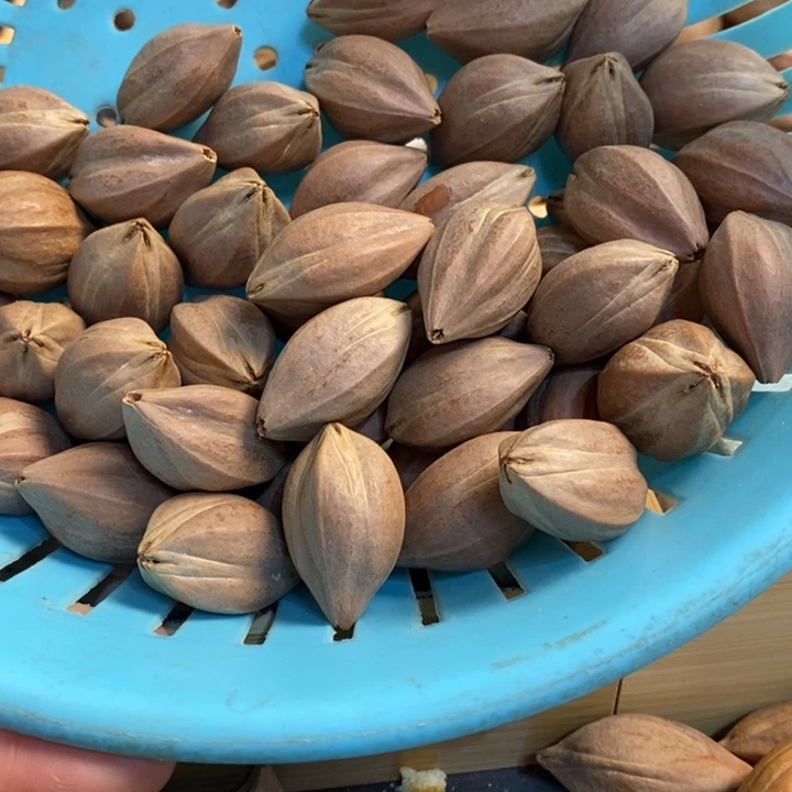 吊坠橄榄核菲*蕥