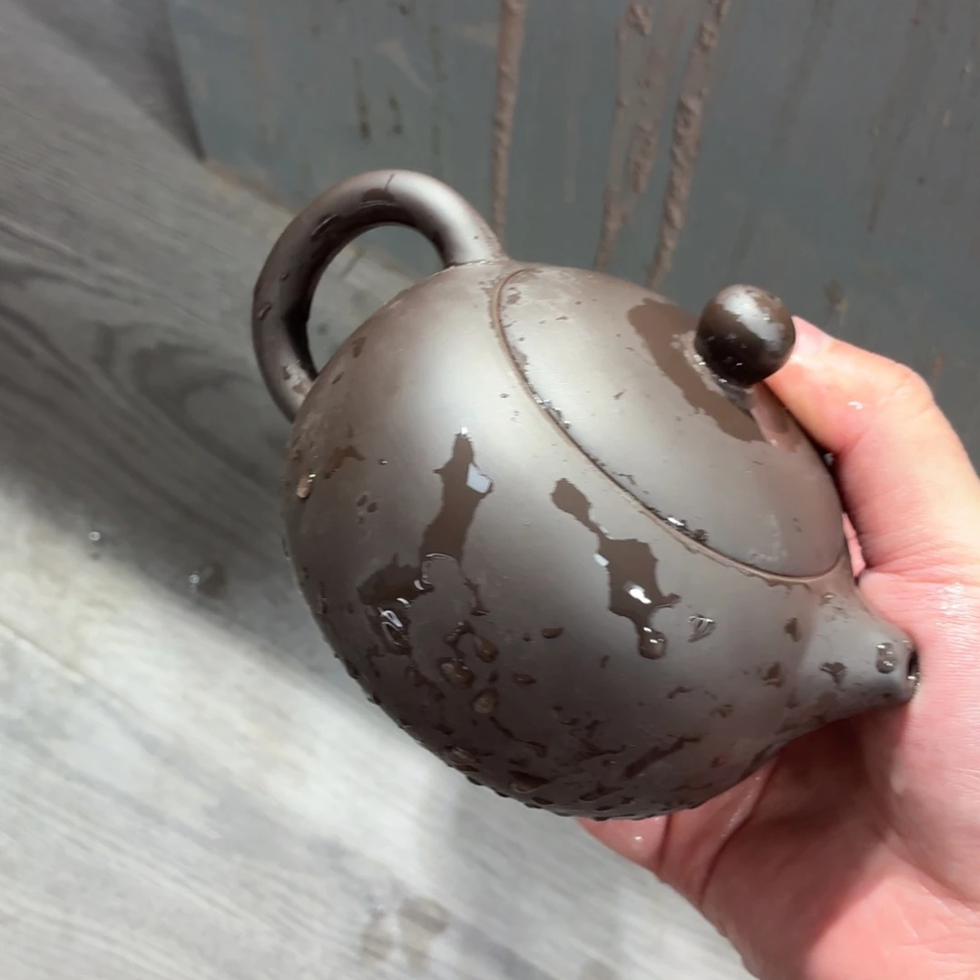 茶壶紫砂壶哈哈哈哈哈