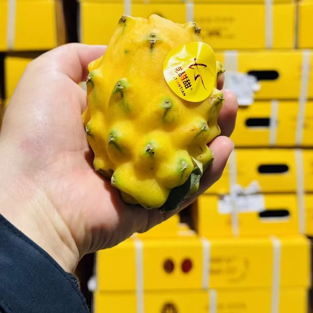 党甜甜燕窝果 8粒/箱 3.5斤净重 【糖度超高 丰富花青素】