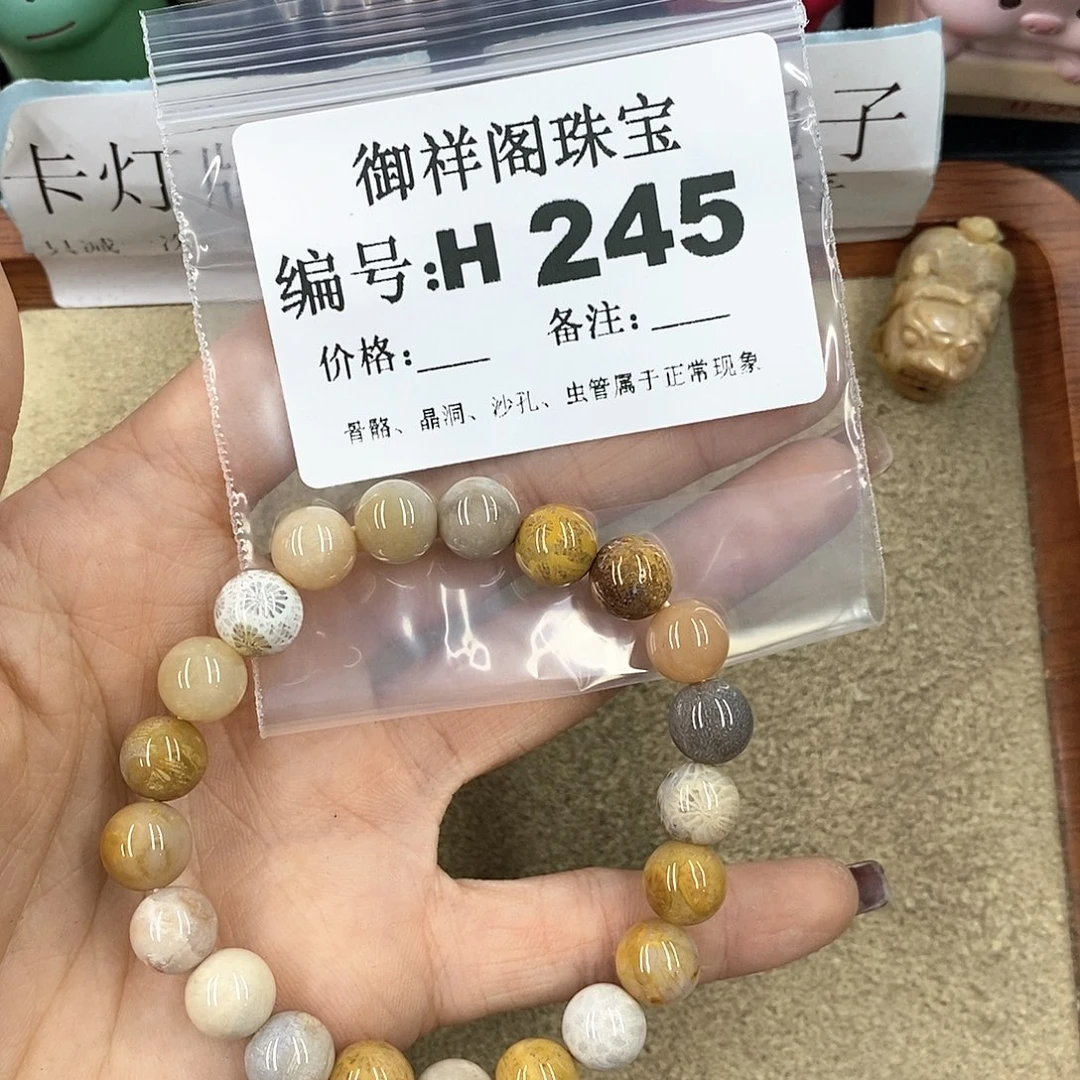 硅化珊瑚（珊瑚玉）H未镶嵌