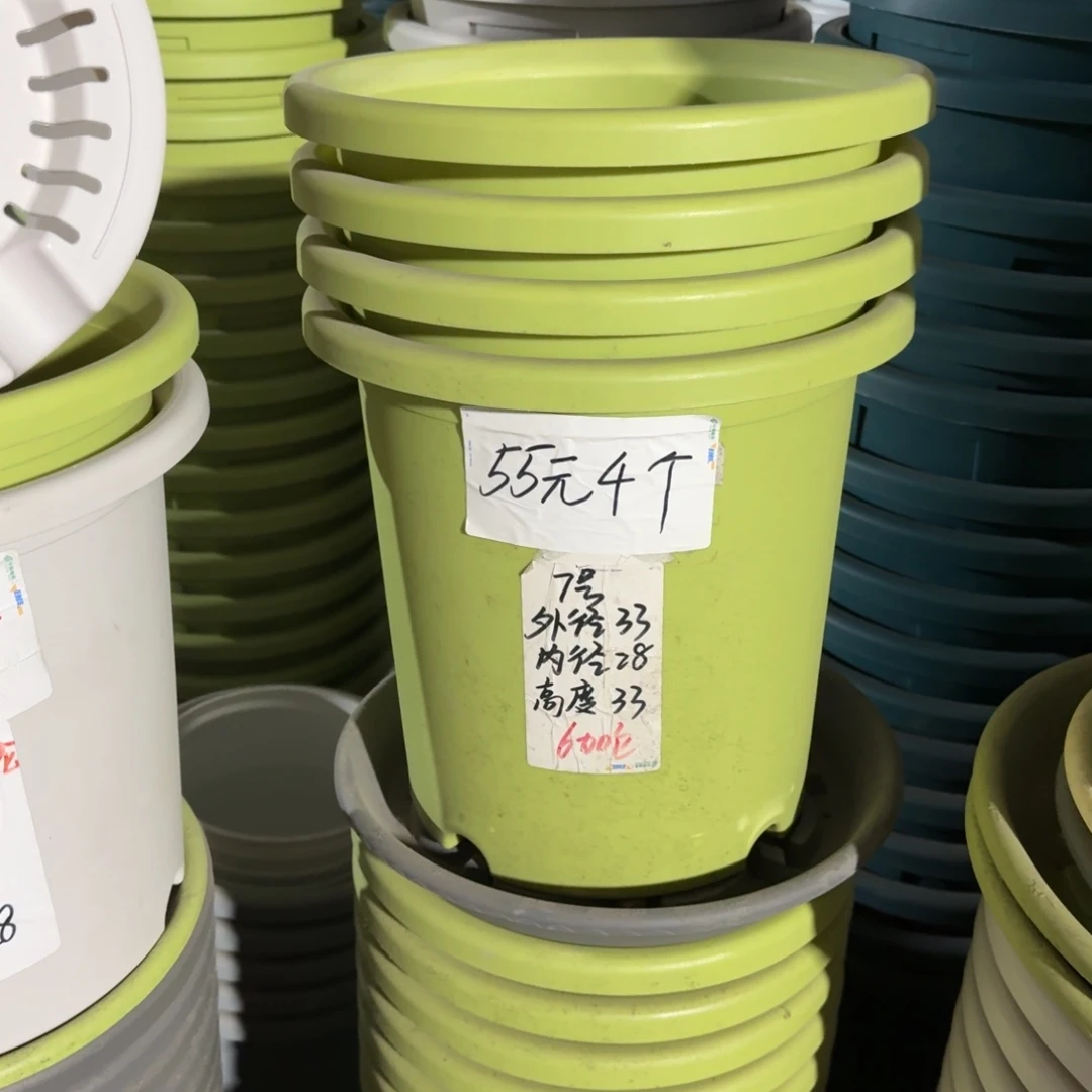 四季7#口径33高33无拖果绿6个