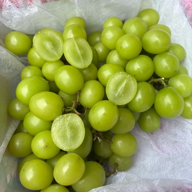 〈云南〉阳光玫瑰新鲜应季水果1.8斤/3.6斤