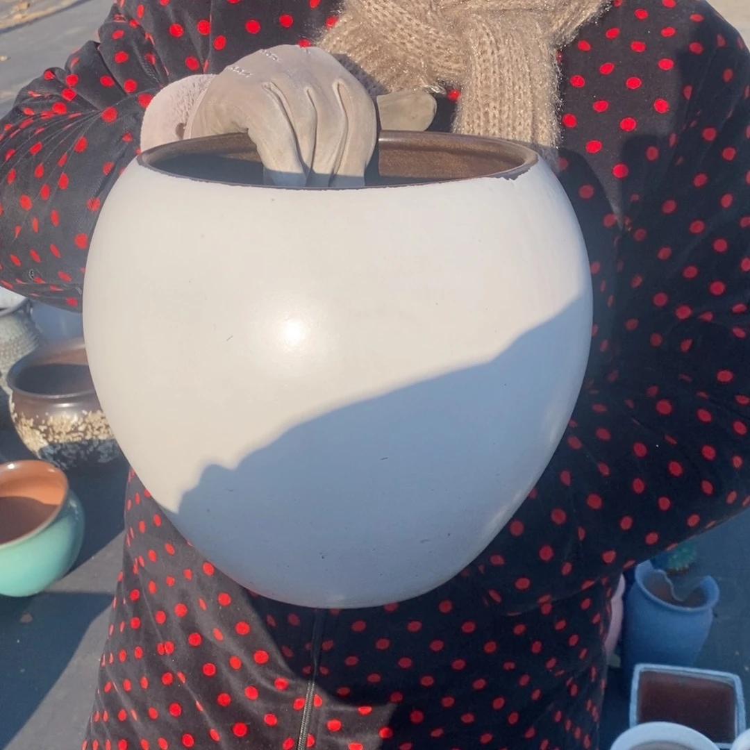 红陶口20高22～～～