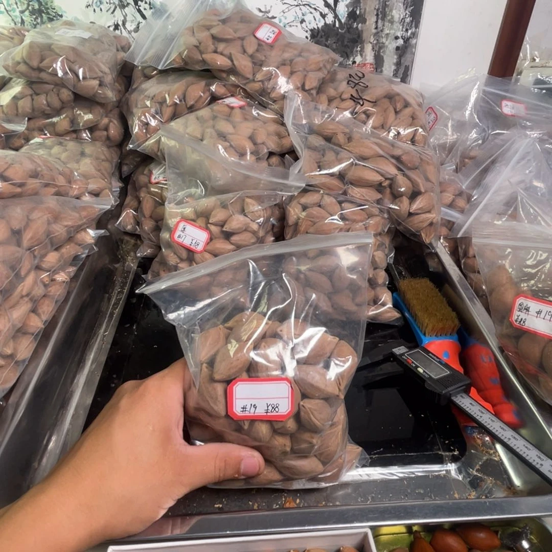 吊坠龙脊菩提果*
