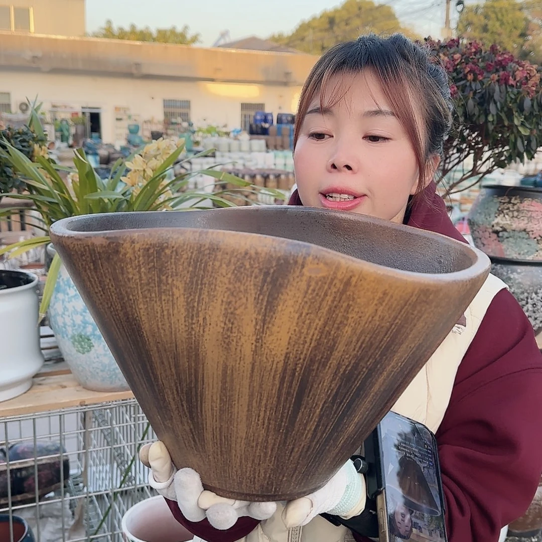 王嫂花盆直播1126-319