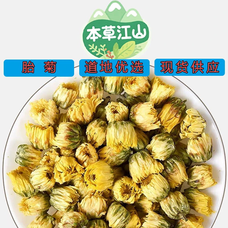 【胎菊】正宗道地优选桐乡. 菊花茶新货采摘清香
