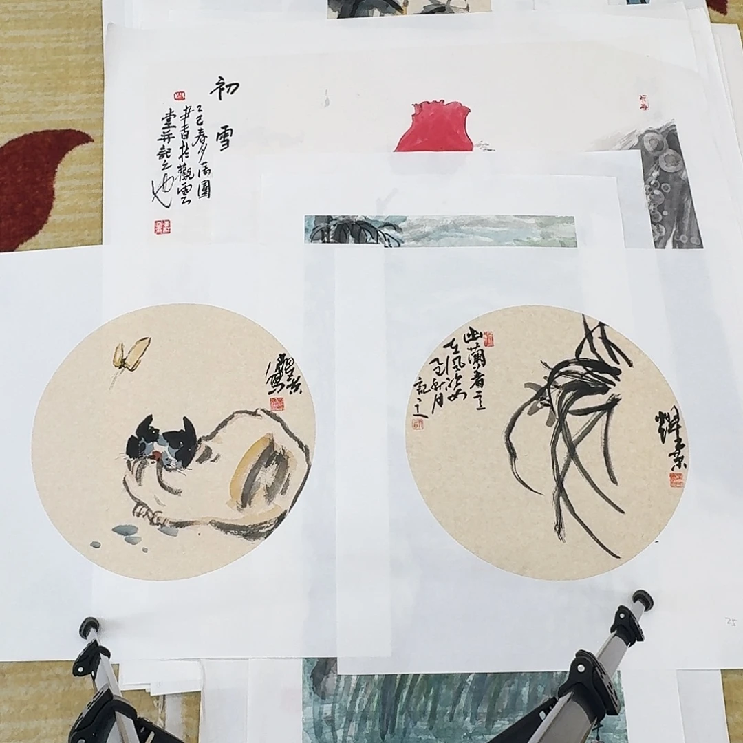 国画写意花鸟两张