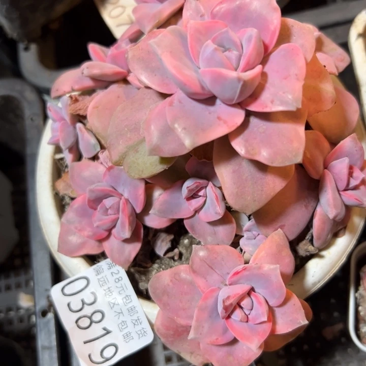 幸运的是我没有遇到过这样