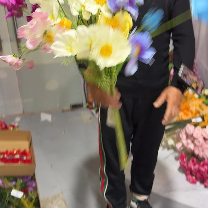 混色大格桑花大支7支