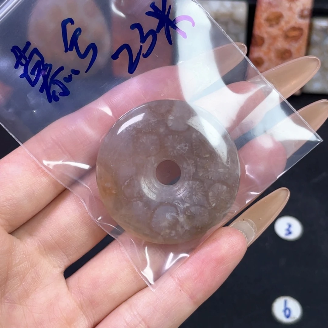 硅化珊瑚（珊瑚玉）吊坠未镶嵌